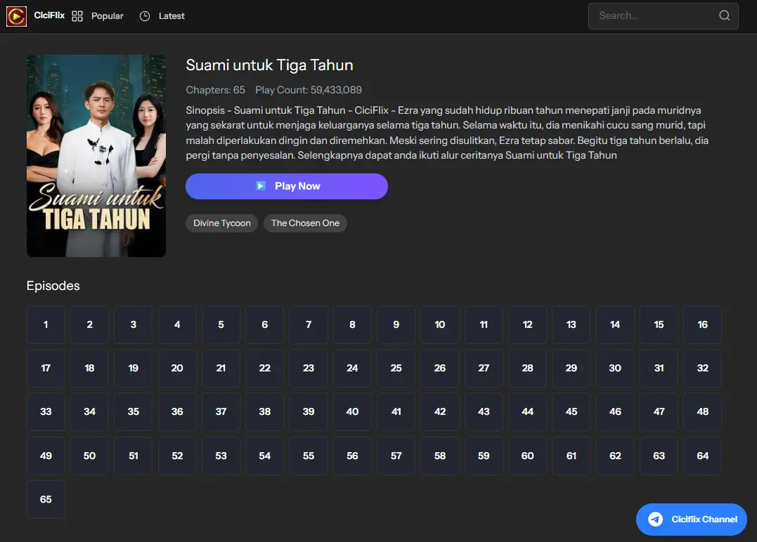 Suami untuk Tiga Tahun